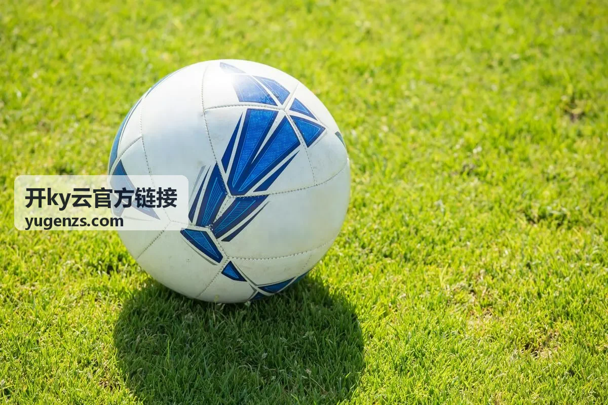 开ky云官方链接地址归档与核验记录示意
